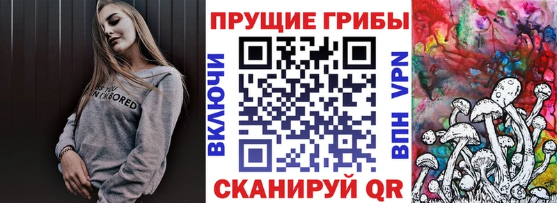 Галлюциногенные грибы прущие грибы что такое Белореченск