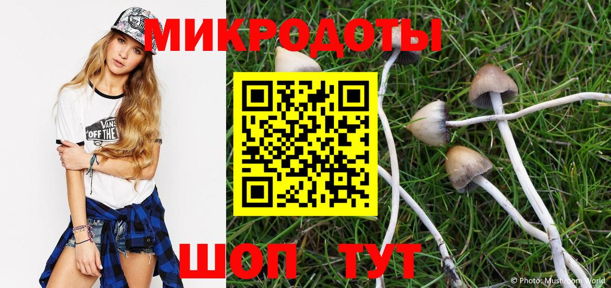 Белореченск  Галлюциногенные грибы Magic Shrooms  сколько стоит  Вход с VPN 